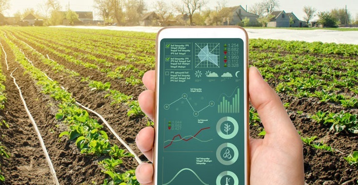 Weather Forecasting Service Using Weather API